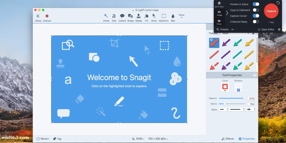 Snagit app